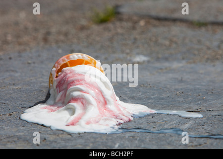 Ein Eis schmelzen während einer Hitzewelle im Sommer am Ufer des Lake Windermere Cumbria UK Stockfoto