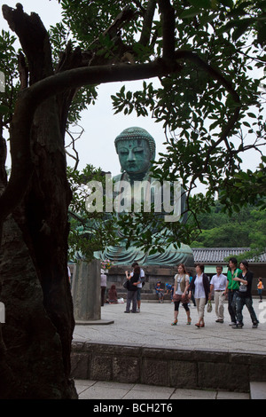 Daibutsu im Kōtoku-in Kamakura Stockfoto