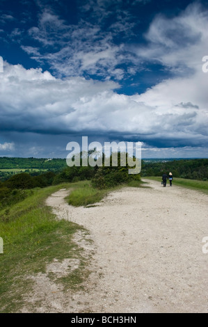 Ansicht der englischen Landschaft aus Box Hill in der Nähe von Dorking Surrey England UK Stockfoto
