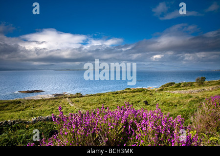 Blick auf die Kenmare River Mündung von Thr Beara Halbinsel County Kerry Irland Stockfoto