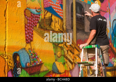 OS Gemeos rundet ein neues Wandbild an der East Houston Street Stockfoto