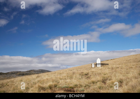 Historische alte Friedhof aufgegeben Gold Rush Town von Kiandra Kosciuszko National Park Snowy Mountains, New South Wales Australien Stockfoto