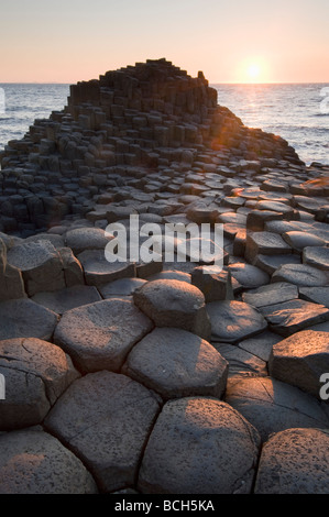 Sonnenuntergang und säulenförmigen Basalt, Giant es Causeway, World Heritage Site, County Antrim, Nordirland Stockfoto