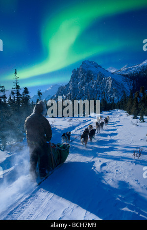 Musher und Hund Team reisen unter der Aurora in den White Mountains Recreation Area, Composite Stockfoto
