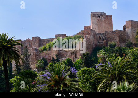 Burg Gibralfaro Malaga Costa Del Sol Andalusien Spanien Stockfoto