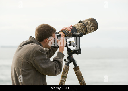 Natur-Fotograf Peter Mondlicht mit Super-Tele-Objektiv fotografieren Vögel im Kampf an der Küste von Pembrokeshire Stockfoto