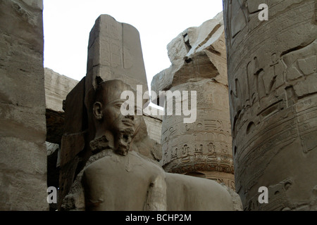 Antiken Schnitzereien an den Tempel von Karnak, Ägypten Stockfoto