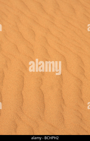Detail der Muster, die durch Windbewegungen über den Erg Chebbi Sanddünen, Wüste Sahara, Merzouga, Marokko, Nordafrika Stockfoto