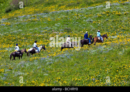 Touristen-begeben Sie sich auf einem Trail Reiten unter Snodgrass Berg Mount Crested Butte Colorado USA Stockfoto