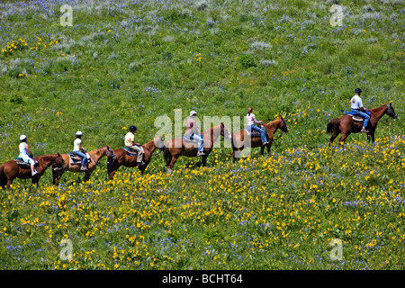 Touristen-begeben Sie sich auf einem Trail Reiten unter Snodgrass Berg Mount Crested Butte Colorado USA Stockfoto