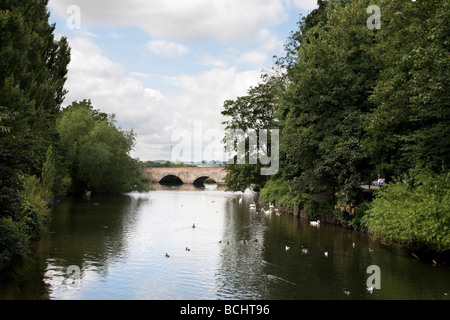 Brücke über den Fluss mit Enten und Schwäne Stockfoto