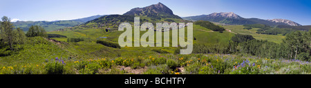 Wildblumen wie Maultier Ohren Sonnenblume Familie und blauer Flachs in der Nähe von Mount Crested Butte Colorado USA Stockfoto