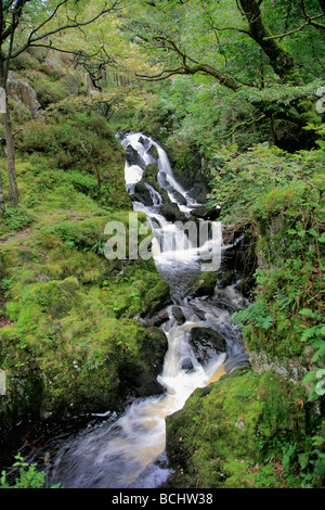Lodore Wasserfälle Beck in der Nähe von Keswick Lake District National Park Cumbria England UK Stockfoto