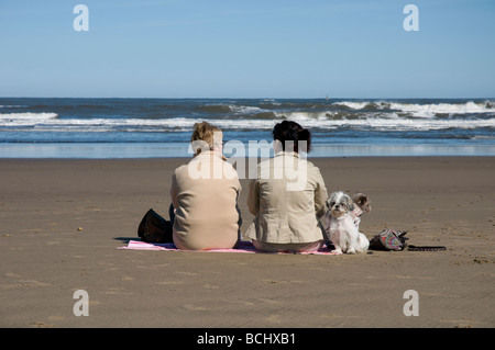 Zwei Besucher trotzen die Britsh Wetter / genießen Sie einen warmen Frühlingstag mit ihren Hunden am Strand von Whitby in North Yorkshire. Stockfoto