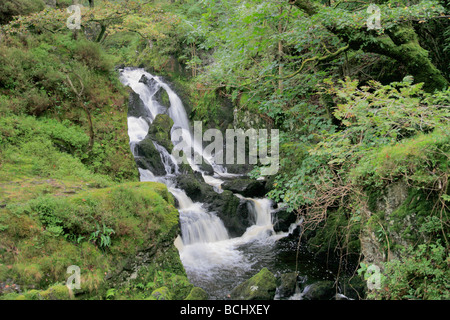 Lodore Wasserfälle Beck in der Nähe von Keswick Lake District National Park Cumbria England UK Stockfoto
