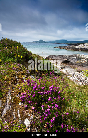 Strand in der Nähe von Kileen Ring of Kerry County Kerry Irland Stockfoto