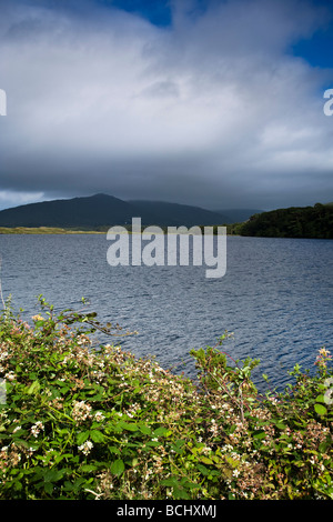 Blick auf die Kenmare River Mündung von Thr Beara Halbinsel County Kerry Irland Stockfoto