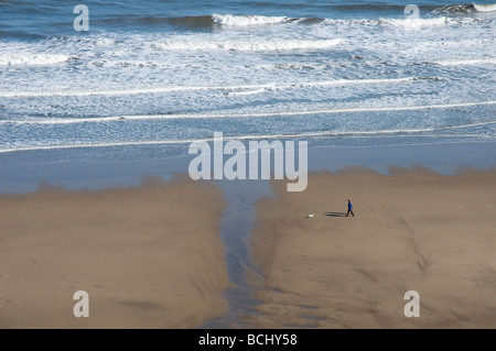 Am frühen Morgen dog Walker am Strand von Whitby in North Yorkshire. Stockfoto