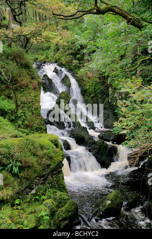 Lodore Wasserfälle Beck in der Nähe von Keswick Lake District National Park Cumbria England UK Stockfoto