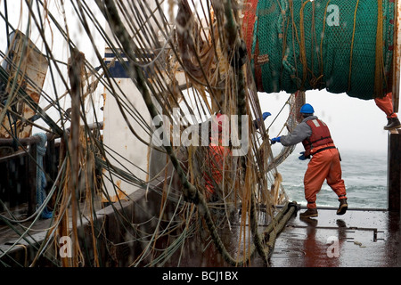 Besatzung der F/V Starlite schleppt in Net Beringmeer SW AK Sommer Pollock Angeln Stockfoto