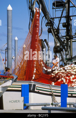 Deckhelfer neigen Ringwaden Netze auf einen Lachs Seiner in den kleinen Bootshafen Homer auf Homer Spit in Kachemak Bay, Alaska Stockfoto