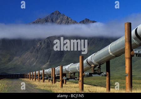 Trans-AK-Pipeline in der Nähe von Pump Station #4 IN Alaska Sommer Brooks Range Stockfoto