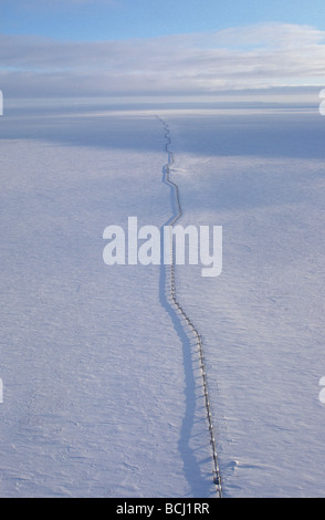 Luftaufnahme der Pipeline auf arktische Alaska North Slope Stockfoto