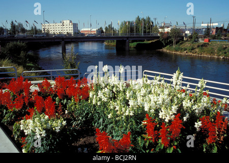 Fairbanks entlang Chena River goldenen Herzen Park Int AK Sommer malerische Stockfoto