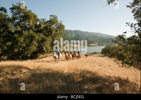Reiter auf Hügel bedeckt mit Rasen und Eichen, mit Blick auf See Alisal Alisal Ranch in Solvang, Kalifornien, USA. Stockfoto