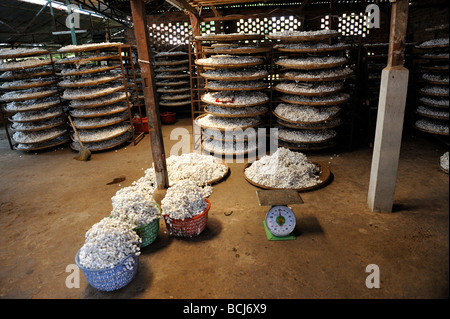 Körbe und Schalen mit Seidenraupen-Kokons warten in Seidenfäden verarbeitet werden. Da Lat, Vietnam Stockfoto