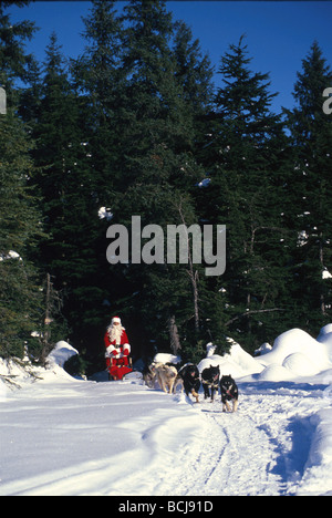 Santa Claus Mushing Hunde Wald Winter Yunan AK Stockfoto