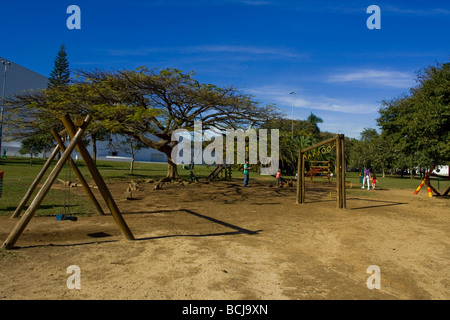 Ibirapuera Park bei Paulo Stadt in Brasilien. Stockfoto