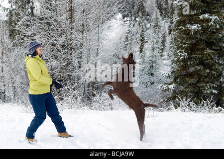 Frau spielt im Schnee mit Hund Winter Alaska SC Stockfoto