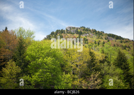 Blick vom Grandfather Mountain in der Appalachian Berge von North Carolina, USA und der Linville der Rheinschlucht Stockfoto