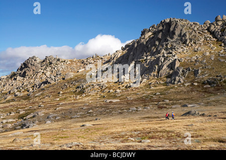 Wanderer auf dem Weg zur Mt Kosciuszko und North Rams Kopf Kosciuszko National Park Snowy Mountains New South Wales Australien Stockfoto