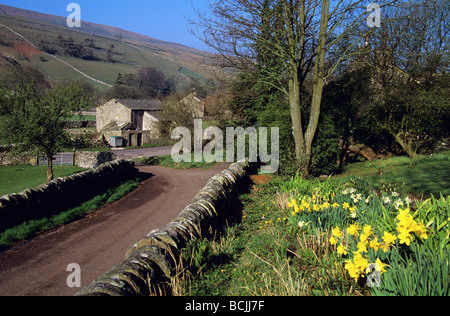 Litton - typische Yorkshire Dales Dorf in der Nähe von Arncliffe auf dem Fluss Skirfare im Frühjahr Stockfoto