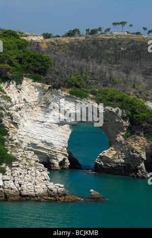 Vieste Apulien Italien Gargano Region Kalkstein naturale Cala di San Felice Stockfoto