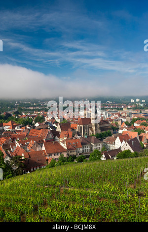 Deutschland, Baden-Wurttemberg, Esslingen-Am-Neckar, Blick auf die Stadt aus den Weinbergen Stockfoto