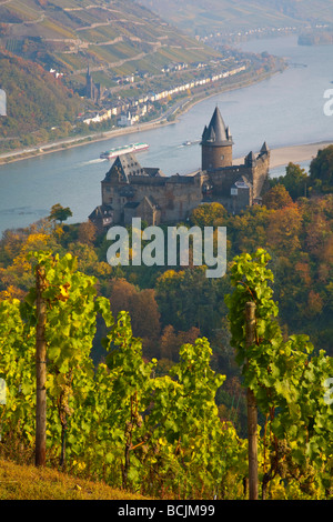 Burg Stahleck & Weinberg, Bacharach, Rhein, Deutschland, RF Stockfoto