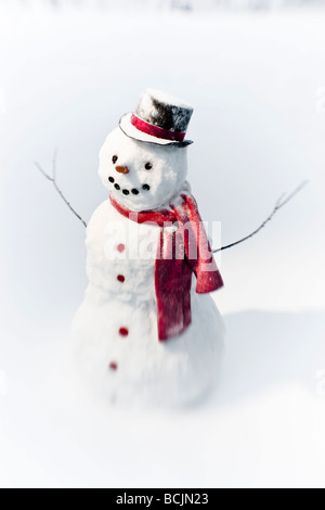 Porträt von Schneemann mit rotem Schal und schwarzem Hut, winter Stockfoto