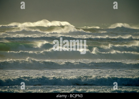 Wellen des Ozeans Stockfoto