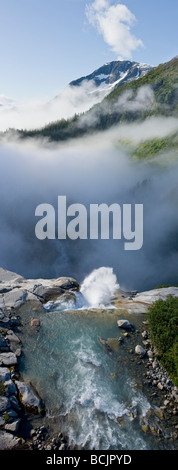 Vertikales Panorama von Sockeye verliebt sich in Südost-Alaska Stockfoto