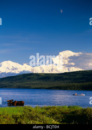 Kanufahren auf Wonder Lake w/Elch Fütterung AK IN Denali NP Sommer Mt McKinley Menschen Stockfoto