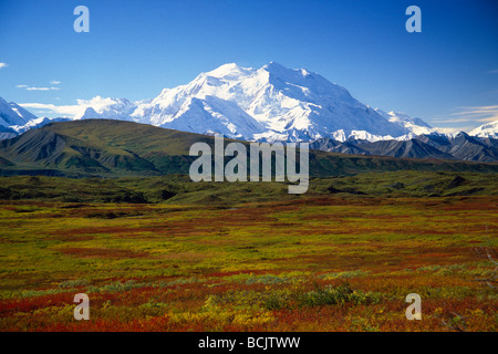 Herbst Tundra erstreckt sich vor dem Mount McKinley Denali Nationalpark innen Alaska. Stockfoto