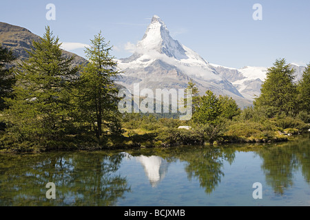 Matterhorn und Bäume spiegeln sich im See Stockfoto