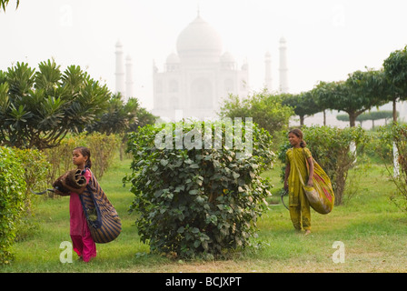 Gebürtige Inderinnen arbeitest du Mehtab Bagh (Moonlight Garden), über den Fluss Yamuna aus dem berühmten Taj Mahal Palast. Stockfoto