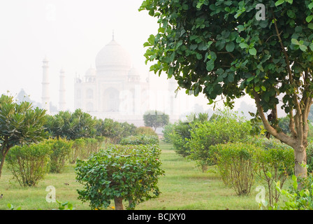 Mehtab Bagh (Moonlight Garden), über den Fluss Yamuna aus dem berühmten Taj Mahal Palast. Stockfoto