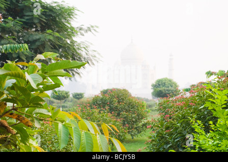 Die schöne Mehtab Bagh (Moonlight Garden), über den Fluss Yamuna aus dem berühmten Taj Mahal Palast. Stockfoto