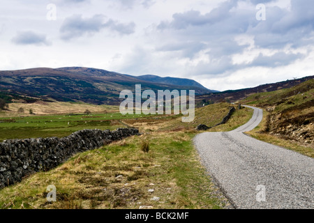 Eingleisig, kurvenreiche Straße zur Croick Kirche von Ardgay in Sutherland Schottland im Frühjahr genommen Stockfoto