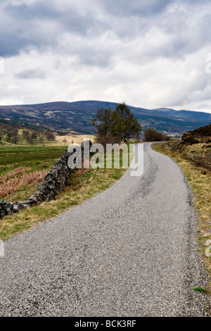 Eingleisig, kurvenreiche Straße zur Croick Kirche von Ardgay in Sutherland Schottland im Frühjahr genommen Stockfoto